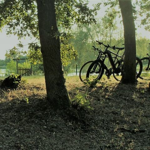 Camping Le Port - Camping Loiret - Image N°4