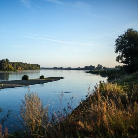 Camping Le Port - Camping Loiret - Image N°2