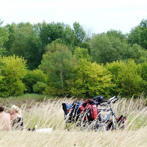 Camping Le Port - Camping Loiret - Image N°5