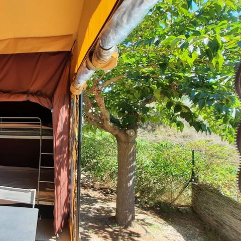 Camping Vauban - Camping Haut-Rhin - Image N°6