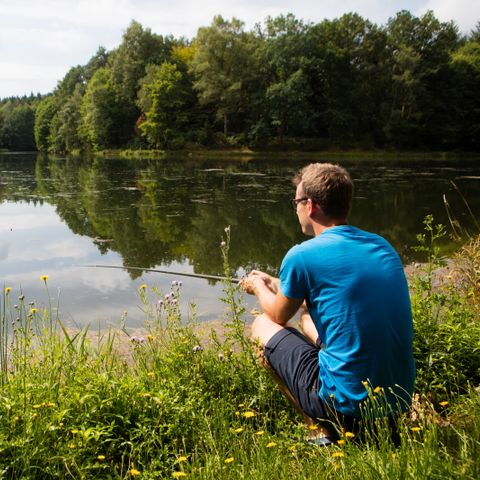 Camping Domaine des Messires - Camping Vosges - Image N°3