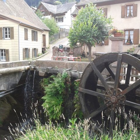 Camping Municipal Les Verts Bois - Camping Haut-Rhin - Image N°6