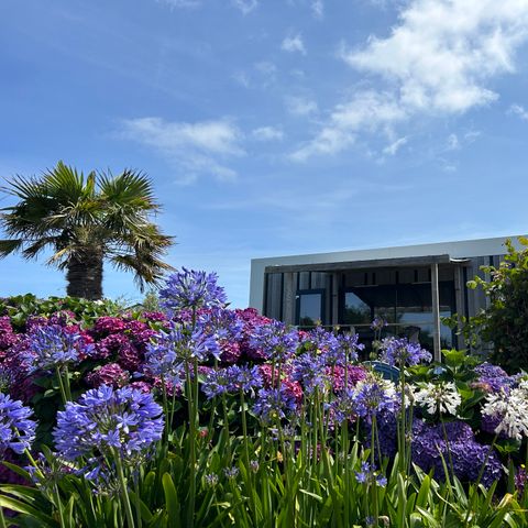 BUNGALOW 4 personnes - PRESTIGE VUE MER exceptionnelle !