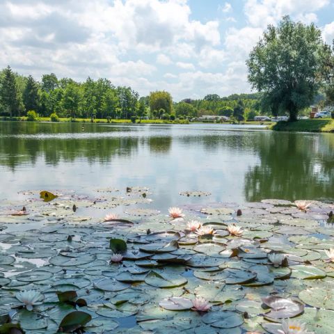 Flower Camping des 2 Rivières - Camping Seine-Maritime - Image N°3
