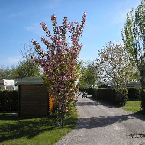 Camping des Crocs - Camping Somme - Image N°2