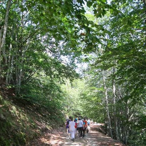 Ushuaïa Villages - Domaine de Ravel - Camping Gard - Image N°5