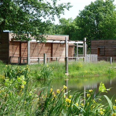 Camping Adillons Vacances - Camping Deux-Sèvres - Image N°3