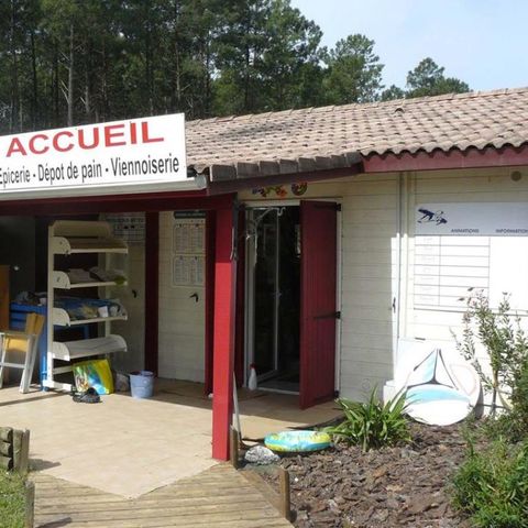 Camping La Forêt Lahitte - Camping Landes - Image N°4