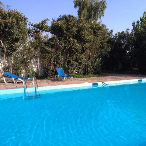 Camping La Naranja - Camping Valence - Image N°3