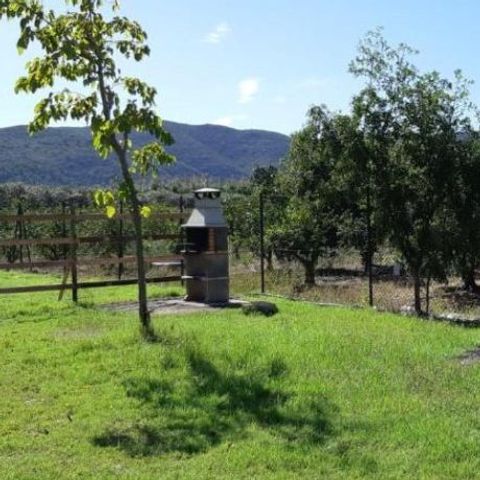 Camping La Naranja - Camping Valence - Image N°6