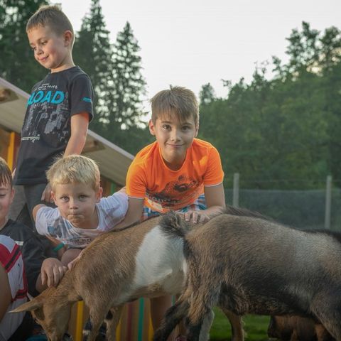 Kleinenzhof Family Resort - Camping Bade-Wurtemberg - Image N°4