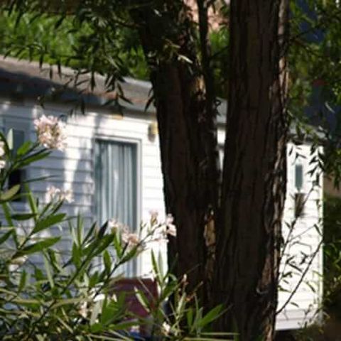 BUNGALOW 4 personnes