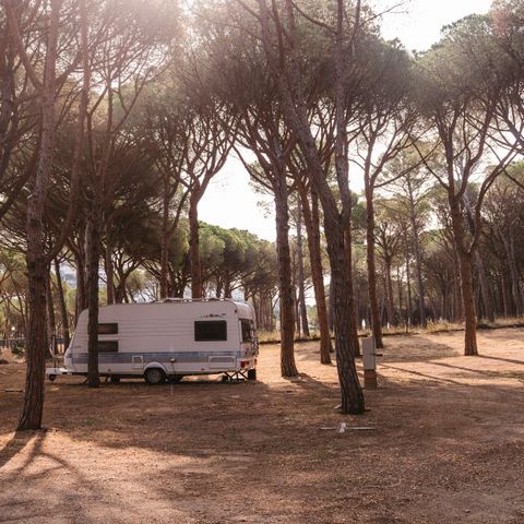 Emplacement - Emplacement PLUS pour camping-car (Tentes non autorisées)