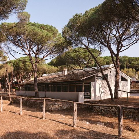 Emplacement - Emplacement PLUS pour camping-car (Tentes non autorisées)