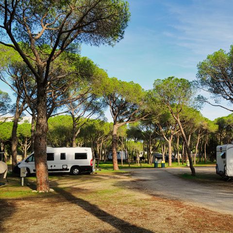 Emplacement - PARCELLE PREMIUM pour camping-car et caravane (Tentes non autorisées)