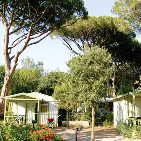 CHALET 5 personnes - Cottage Club 5