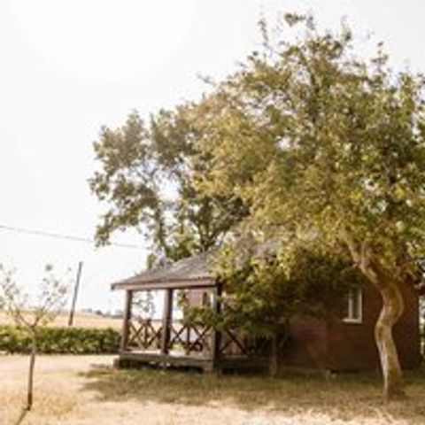 CHALET 6 personnes - (C01)