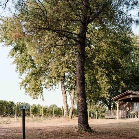 CHALET 5 personnes - Chalet 2 - 40m² - 2 chambres