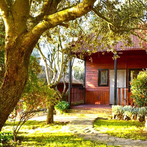 BUNGALOW 6 personnes - Bungalow