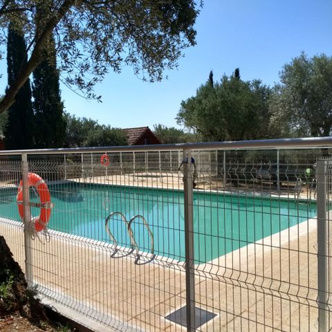 CAMPING ALQUEZAR - Camping Huesca - Image N°2