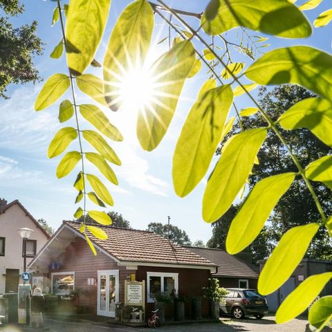 Familiecamping Klein Canada - Camping Bergen - Image N°3