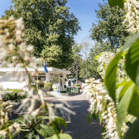 Vakantiepark de Bergen - Camping Sint Anthonis - Image N°5