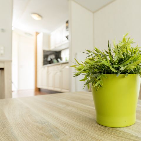 BUNGALOW 4 personnes - Villa couleur