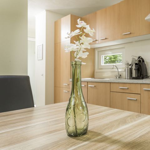 Mobilhome 4 personnes - Villa de Bergen