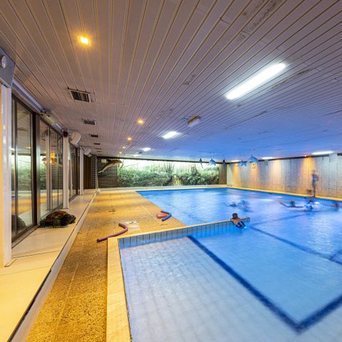 Camping Wilhelm Tell - Camping Limburg Belge - Image N°3