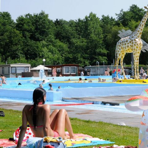 Camping Wilhelm Tell - Camping Limburg Belge - Image N°5