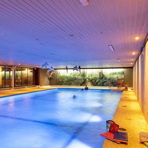 Camping Wilhelm Tell - Camping Limburg Belge - Image N°4