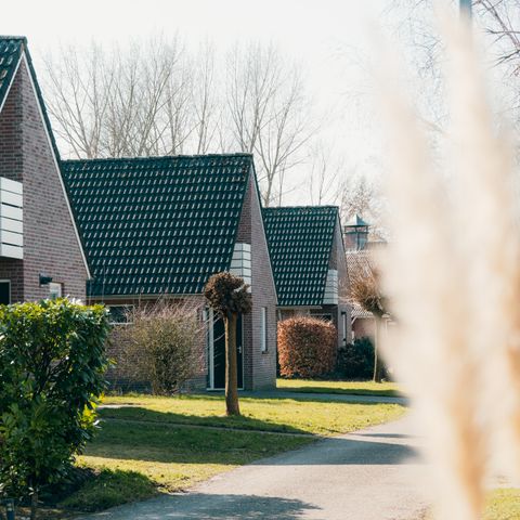 BUNGALOW 6 personnes - Schipbeek