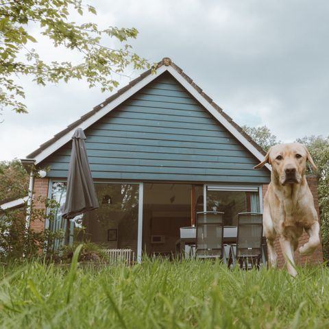 BUNGALOW 4 personnes - IJssel Plus