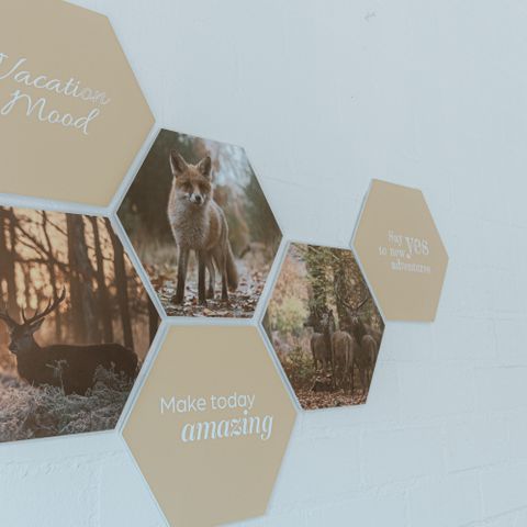 BUNGALOW 4 personnes - IJssel Plus