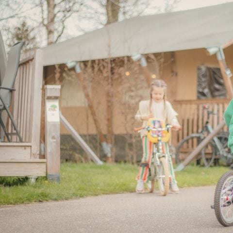 Vakantiepark Sallandshoeve - Camping Raalte - Image N°3