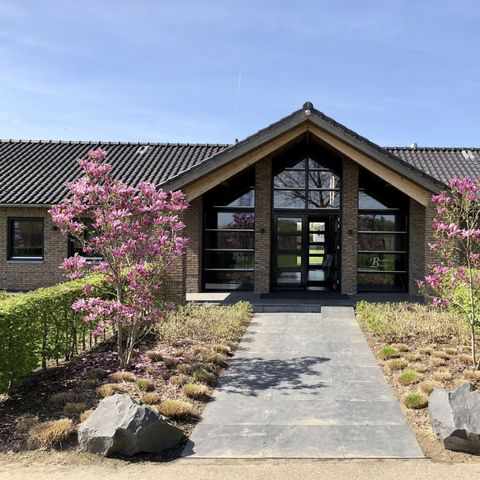 Camping Betuwe - Camping Nieder-Betuwe - Image N°5