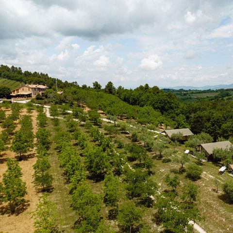 Camping Pian di Boccio - Camping Pérouse - Image N°2