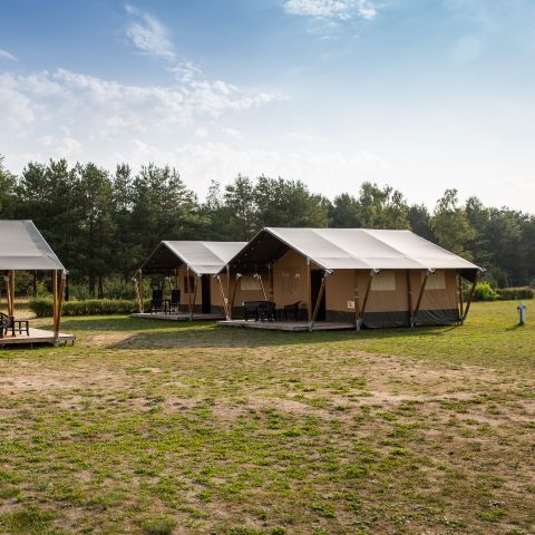 TENTE TOILE ET BOIS 6 personnes