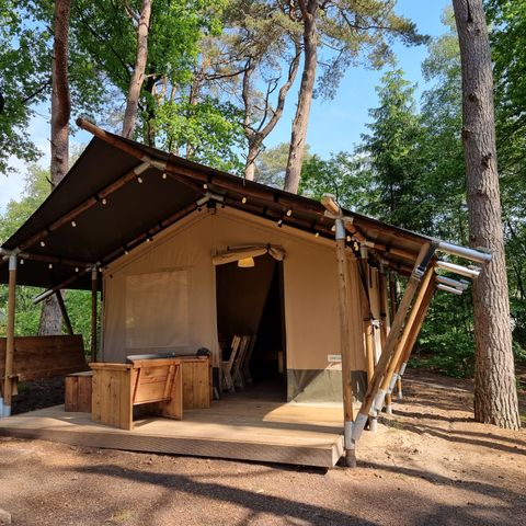 Tente en toile et en bois 4 personnes