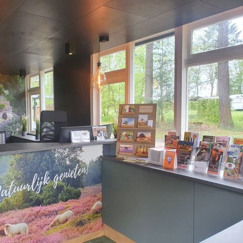 Vodatent Camping het Horstmannsbos - Camping Aa en Hunze - Image N°4