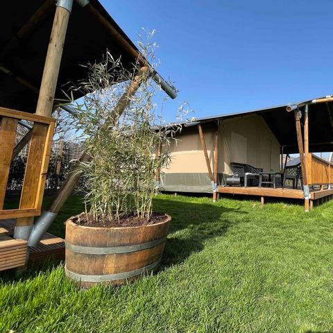 TENTE TOILE ET BOIS 6 personnes