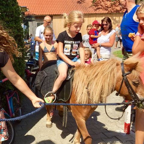 Vodatent Camping de Rammelbeek - Camping Dinkelland - Image N°3