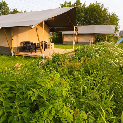 TENTE TOILE ET BOIS 6 personnes