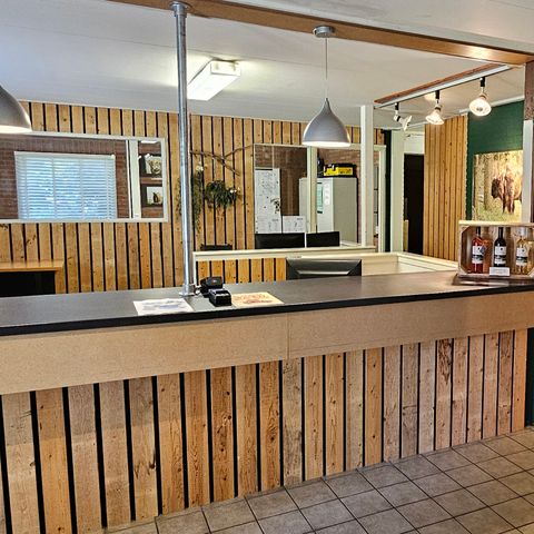 Vakantiepark het Timmerholt  - Camping Mitte-Drenthe - Image N°5