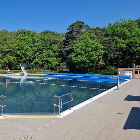 Vakantiepark het Timmerholt  - Camping Mitte-Drenthe - Image N°3