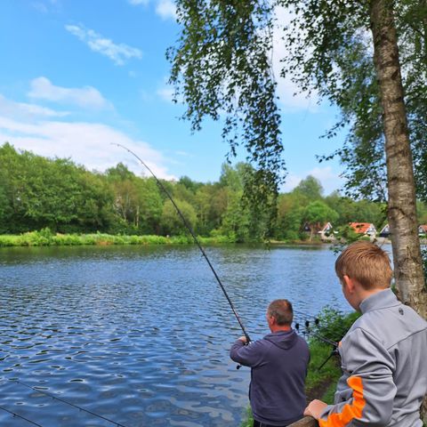 Vakantiepark het Timmerholt  - Camping Mitte-Drenthe - Image N°5