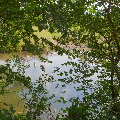 Vodatent Camping la Dolce Vita - Camping Voerendaal - Image N°5