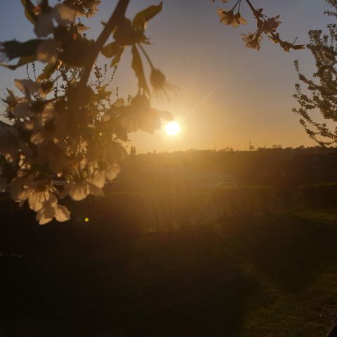 Vodatent Camping la Dolce Vita - Camping Voerendaal - Image N°6