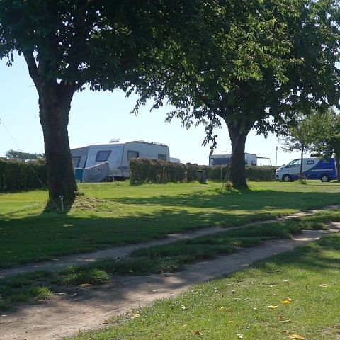 Vodatent Camping la Dolce Vita - Camping Voerendaal - Image N°2