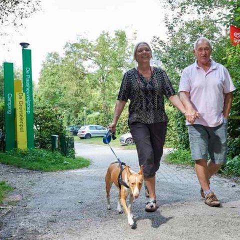 Vodatent Camping de Gronselenput - Camping Gulpen-Wittem - Image N°4